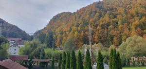 Pensiunea Cezar-Codrin