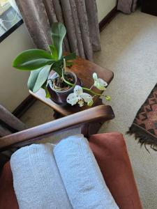 Alberton Africa Away