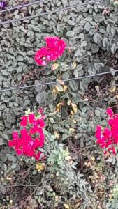 Apartment Eminescu - A pleasant stay in Bacau