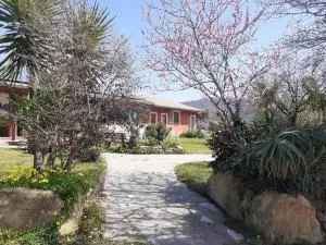 Barone Montefeo - Braidi