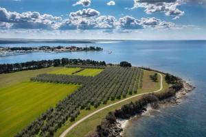Apartmani Karpinjan - Novigrad