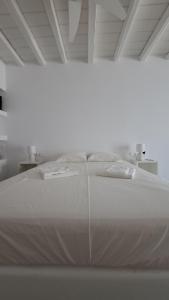 Spice Suites-Lime
