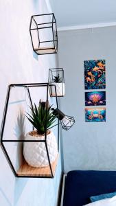 Waterview - Schwimmendes Ferienhaus "Black Pearl" auf dem Wasser mit Blick zur Havel, inkl Boot zur Nutzung