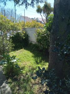 Casa 2 amb luminosa c parque