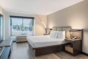 Deluxe King Room - Non-Smoking room in Wingate by Wyndham Macon