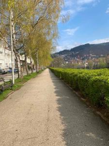 Apartmani River Priboj
