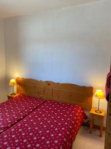 Appartements Apartment with balcony at the foot of the slopes : photos des chambres