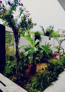 Home away from Home 2 - Nilmatha