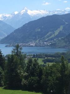 Hawis Apartments by Hermann Weiss