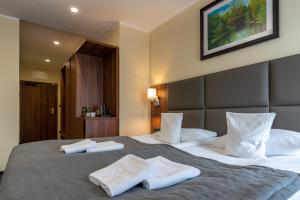 Superior Deluxe Double or Twin Room  room in Hotel Wodnik