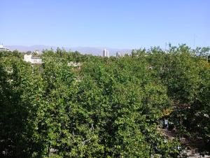 Apreciando la montaña, departamento centrico