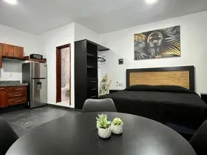 Departamento en Puerto Vallarta - 马斯科塔