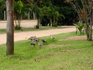 SUÍTE PRIVATIVA RIVIERA & ITAGUARÉ 100mts de 2 praias!