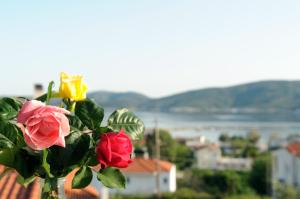 Triantafilia Guesthouse Evia Greece