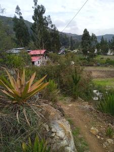 casa montañista lodge & camping