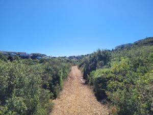 Appartements Logement independant 