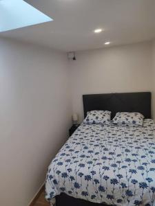 Loft Paris centre face au parc des buttes Chaumont