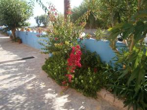 Blue Sky Taverna Apartments Kiki Rethymno Greece