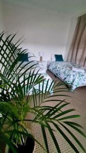 Brisbane Guesthouse in fantastic location Single Room room