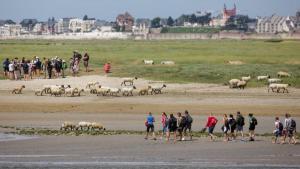 Maisons de vacances Les Arts - Cocon romantique en Baie de Somme : photos des chambres