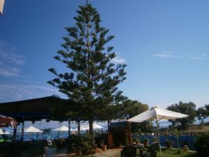 Blue Sky Taverna Apartments Kiki Rethymno Greece