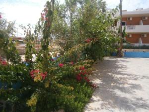 Blue Sky Taverna Apartments Kiki Rethymno Greece