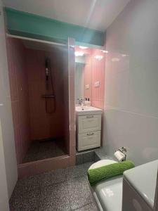 PARIS Le Marais Duplex