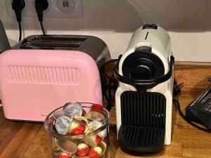 PARIS Le Marais Duplex