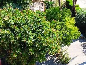 Beach Nice Flat - Playa Pobla de Farnals