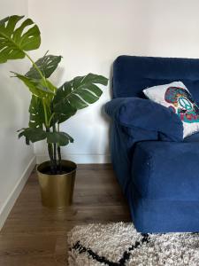 Appartement 1 Chambre