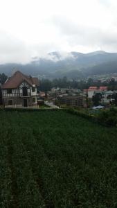 Villa de Roshe