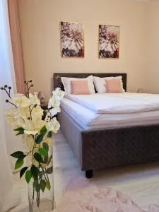 ORI Passion Apart. Malul Mureșului - Şagu