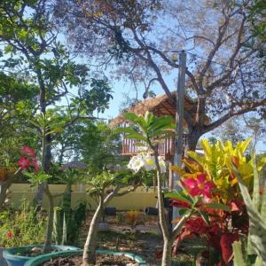 Pousada Chacara Cururu