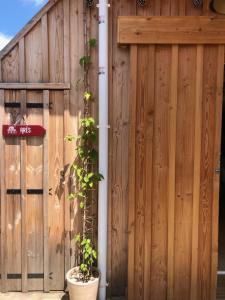 Maisons de vacances Cocon entre presqu'ile du Cap Ferret et plages oceanes - terrasse - 1 velo gratuit : photos des chambres