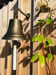 Maisons de vacances Cocon entre presqu'ile du Cap Ferret et plages oceanes - terrasse - 1 velo gratuit : photos des chambres