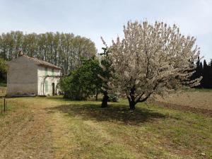 B&B / Chambres d'hotes La Maison du Peintre en Provence : photos des chambres