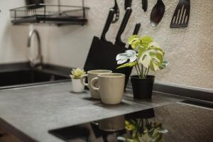 Maison Petit Rouge by Hili