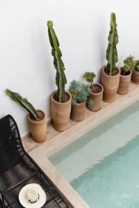 Riad 27 & SPA entièrement privatisé