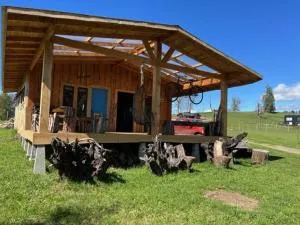 Preciosa cabaña pet friendly con vista a volcanes Villarica y Choshuenco, cerca Termas - Panguipulli