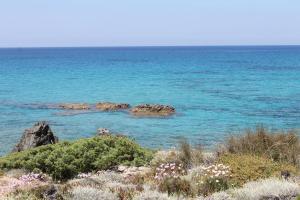 Stazzo Gallurese La Cugara img52