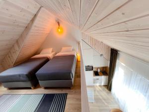 Ciki Puki apartamentai