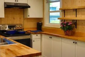 Oakridge Adventure Studio 2 - Oakridge