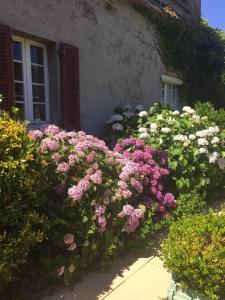 CHEZ BEATRICE