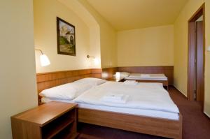 Triple Room room in Hotel Zlatá Hvězda