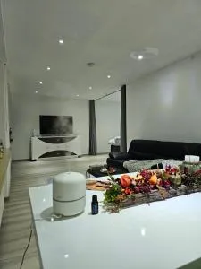 Ferienwohnung im Herzen von Singen - 辛根