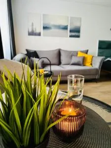 Alyvų tako studija - Medukšta Alyvų tako studija - Medukšta