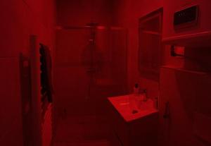 Appartements La Dream Night : photos des chambres