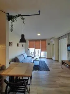Apartman Alisa - جولوباك