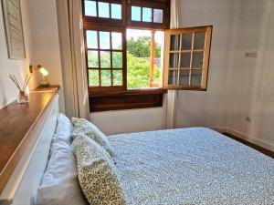 Jacaranda Azul Icod de los Vinos