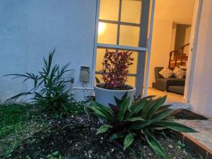 Bonita casa a 3 km de playa Xcalacoco auto opciónal